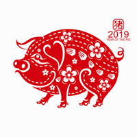 Aviso de Nanjing Haisi 2019 Festival de Primavera Arreglo de vacaciones
